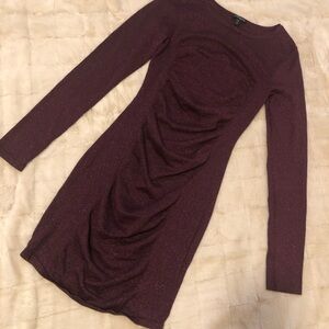 Express Glittering Purple Long Sleeve Dress